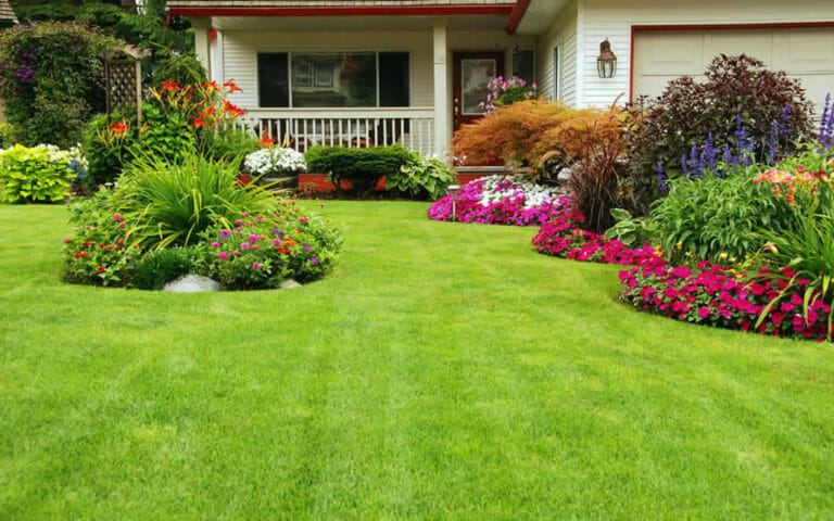 Spring Lawn Care Tips Healthy Green Yard