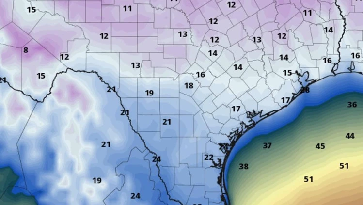 Polar Vortex 2025